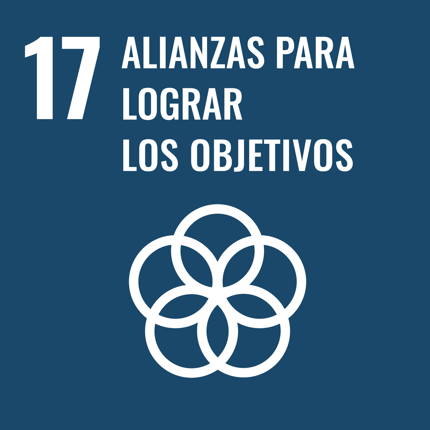 ODS en imágenes